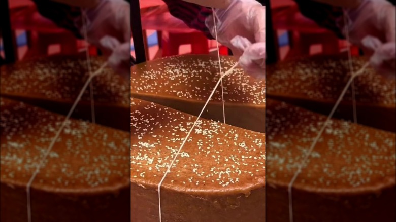 Hands wearing gloves using string to cut a cake