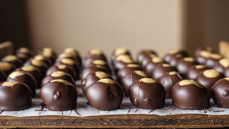 Rows of buckeyes