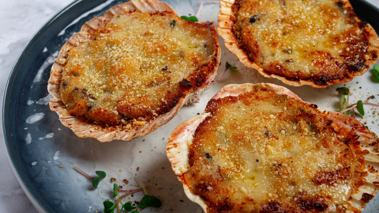 Baked stuffed scallop shells on blue plate