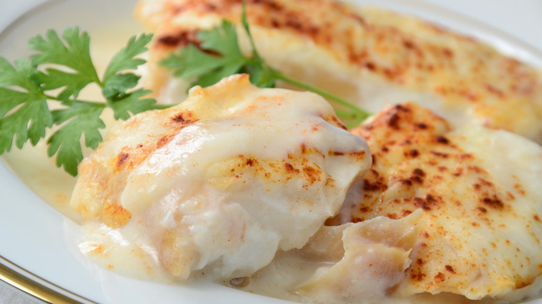 Dish of white fish with cream sauce and parsley garnish