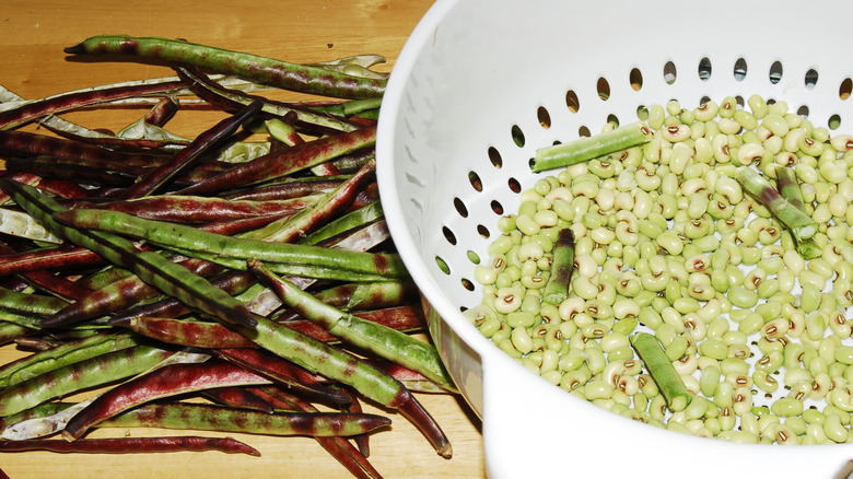 shelling purple hull peas