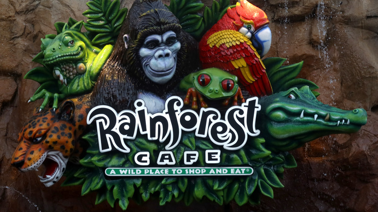 rainforest cafe sign