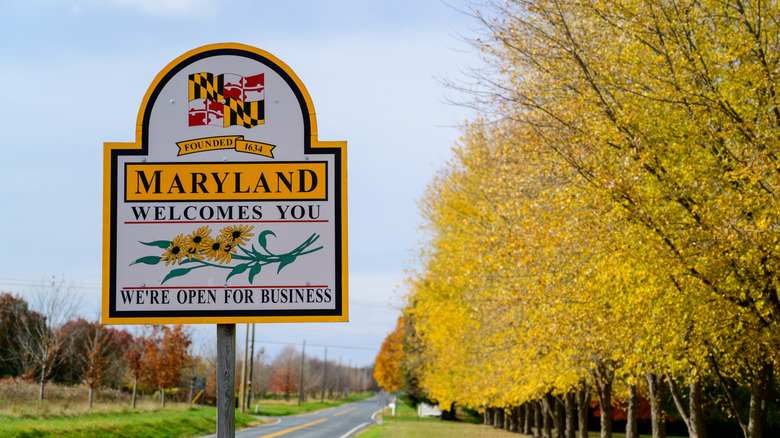Sign that reads "Welcome to Maryland" on tree-lined road