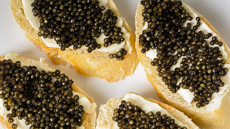 Sliced baguettes spread with beluga caviar and butter.