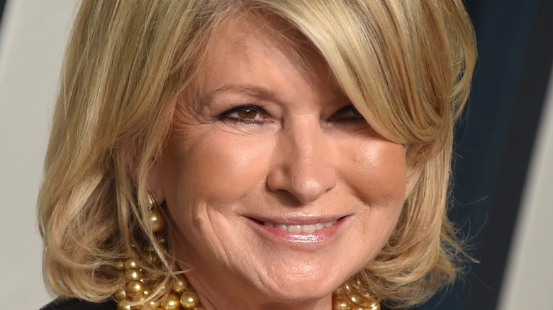 Martha Stewart close-up