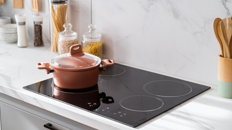 A Dutch oven style pot sits on an induction cooktop.