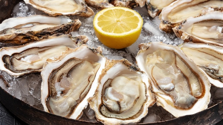 Oysters on the half-shell