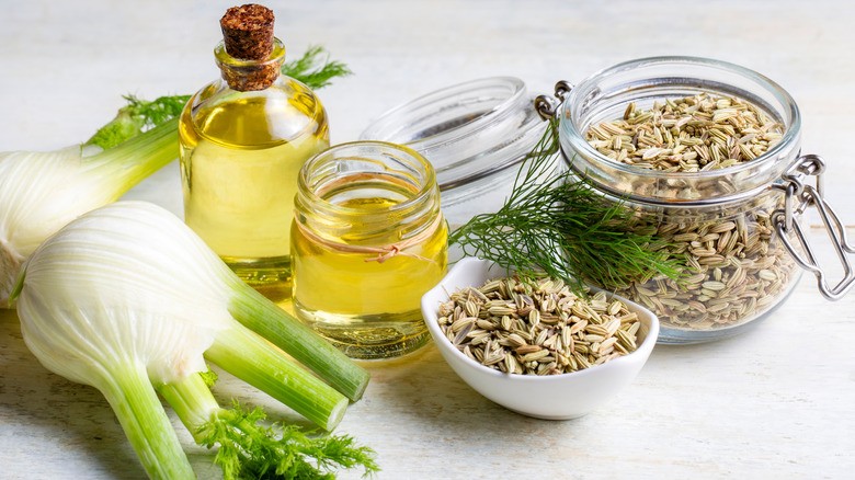 Fennel, fennel oil, and fennel seed