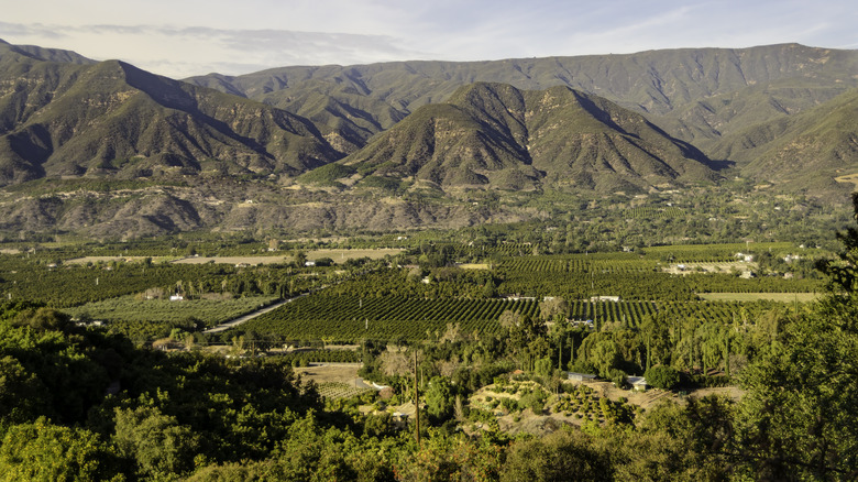Ojai Valley in Southern California