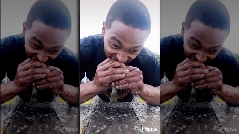 Countryboybrown biting off fish head on TikTok