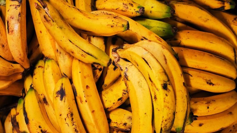 bunches of ripe plantains