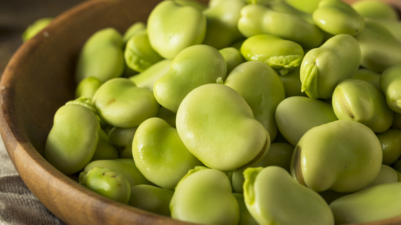 Fava beans in a bowl