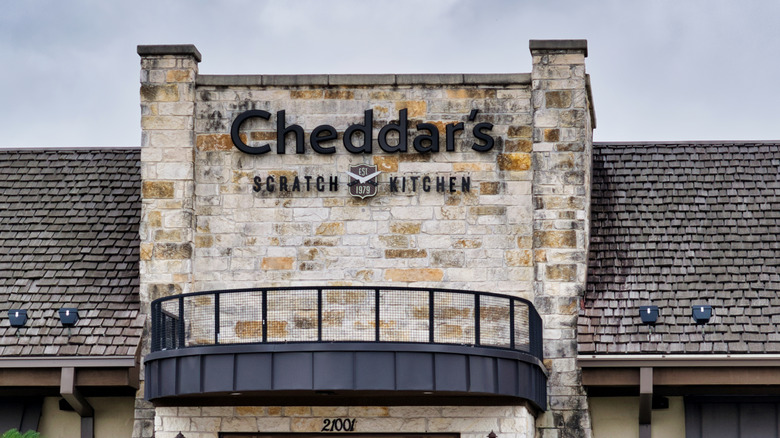 Cheddar's Scratch Kitchen