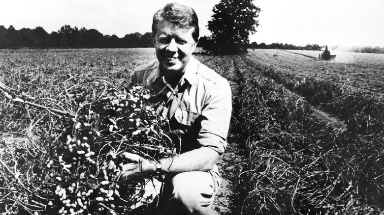 Jimmy Carter with a peanut plant