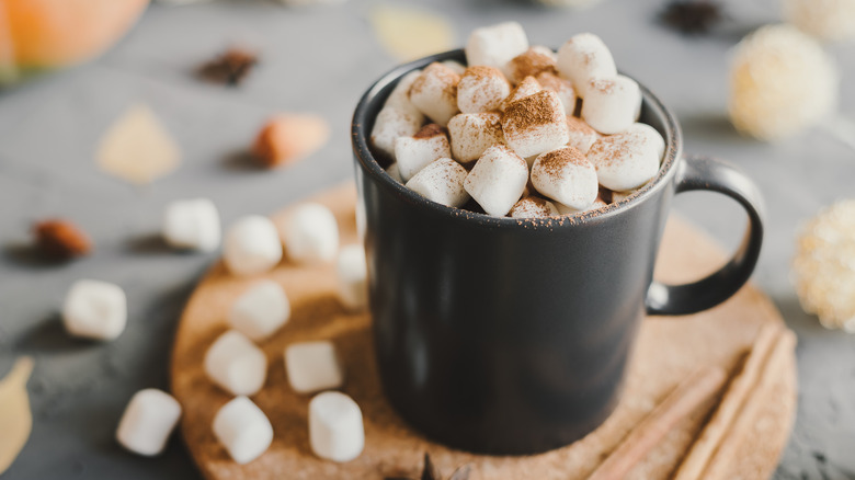 Cup of hot chocolate with mini marshmallows