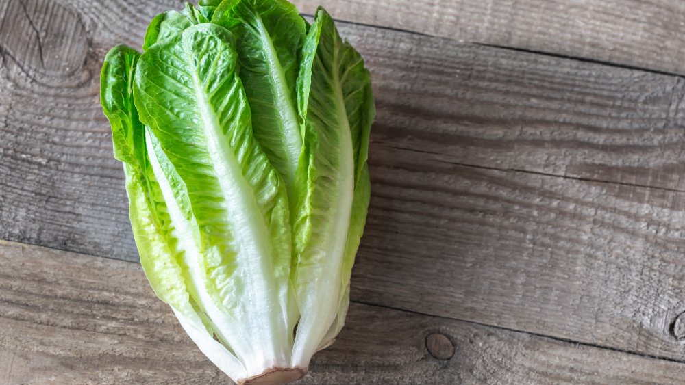 Romaine lettuce