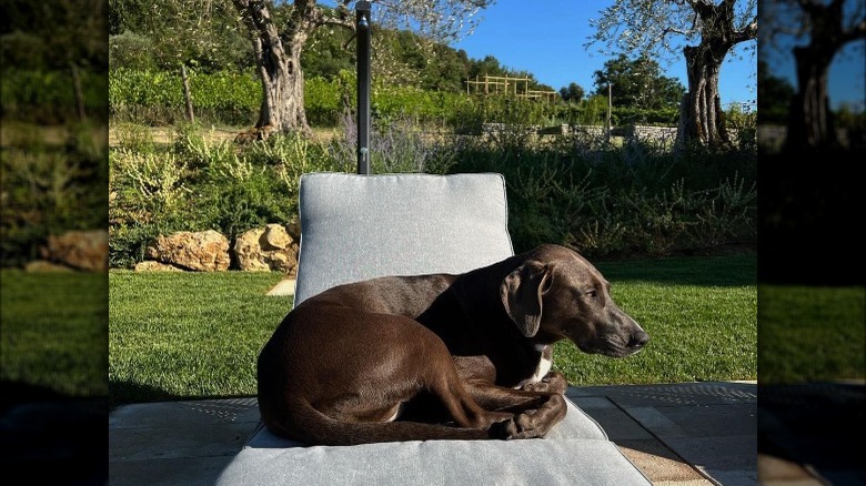 Bella