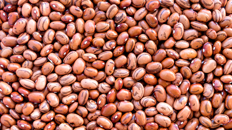 Close-up of dried red beans