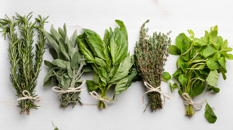 Bundles of herbs dried together