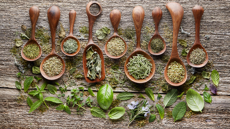 Fresh and dried herbs in wooden spoons