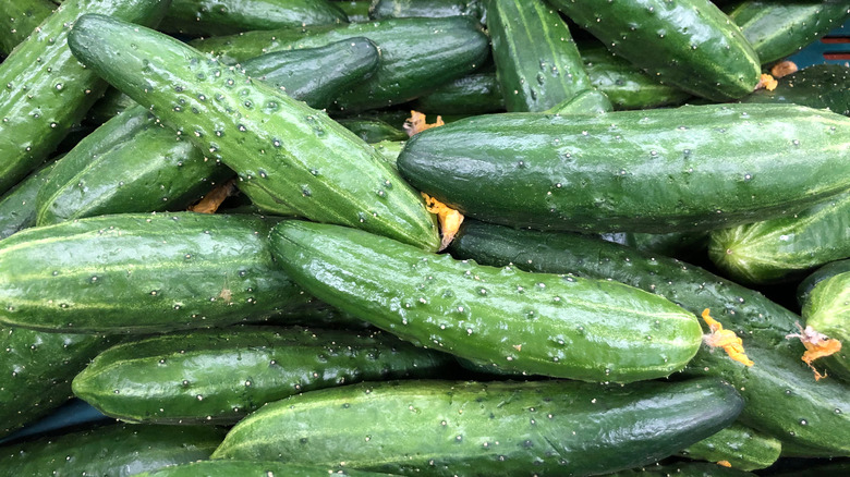 A bunch of cucumbers