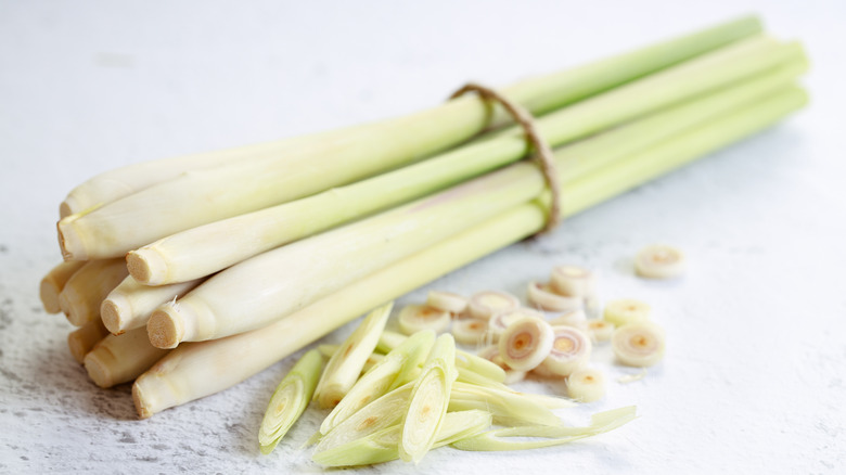 Fresh lemongrass bunch