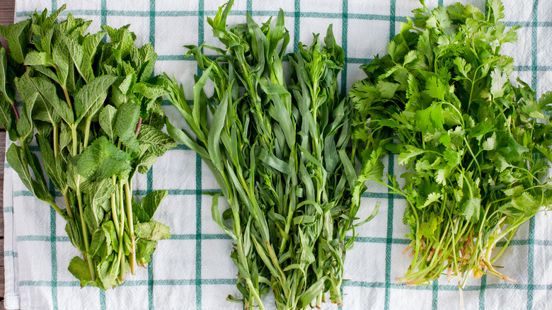 freshly washed herbs on blue and white towel