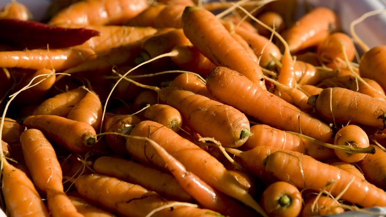 A bunch of baby carrots