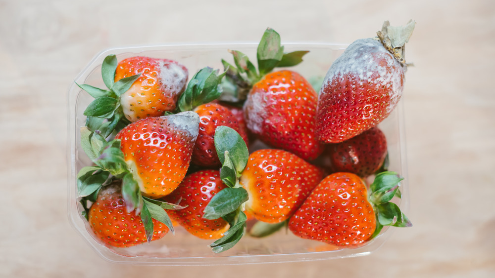 Moldy strawberries in a container