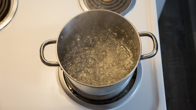 water boiling in medium pot