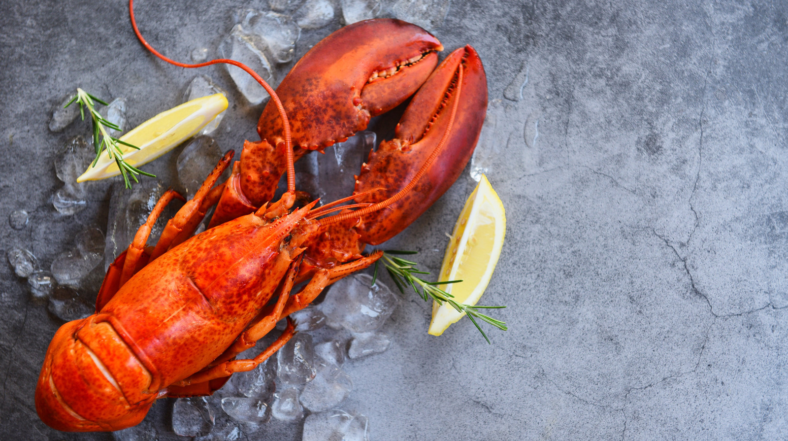 Red Lobster Is AllOut Roasting Olive Garden's Pasta Deal On Twitter