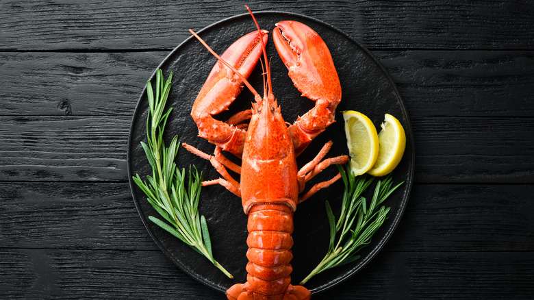 full lobster on plate with herbs and lemon wedges