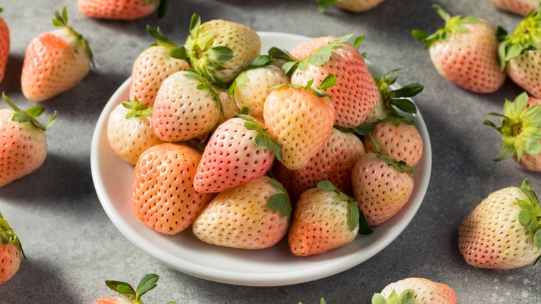 Plate of pineberries