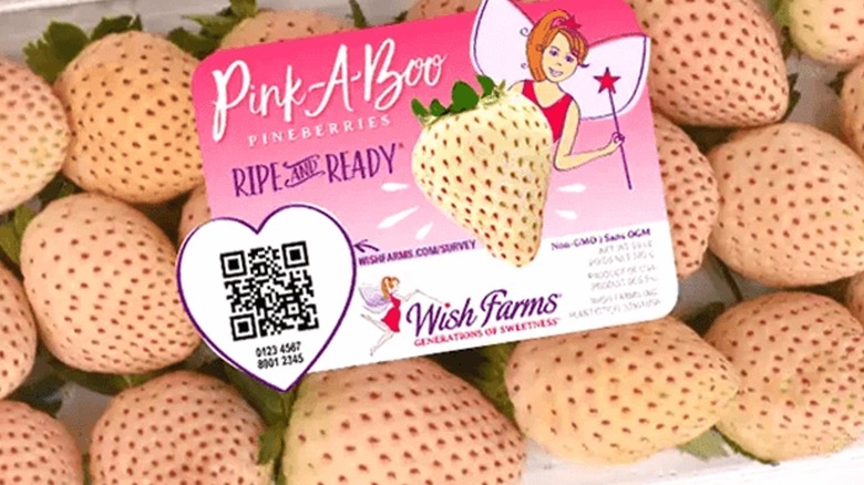 Pink-A-Boo brand pineberries 