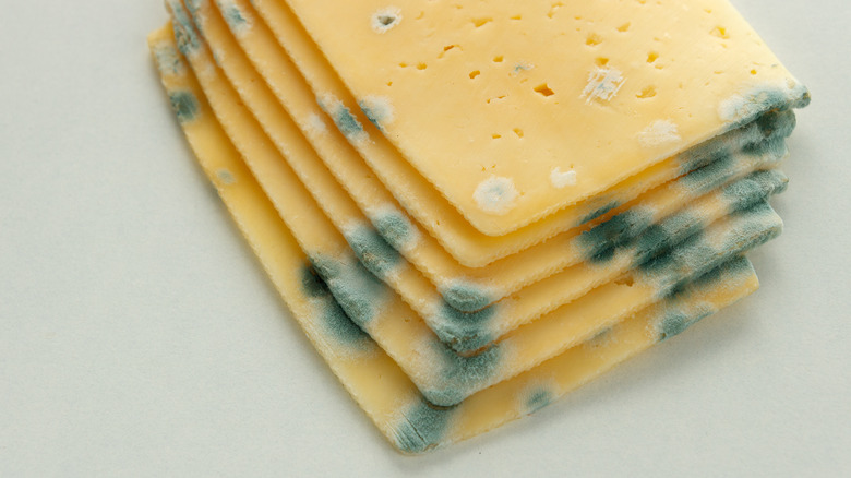 Moldy cheese slices