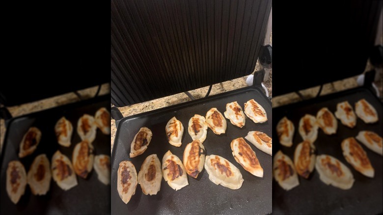 potstickers inside a sandwich press
