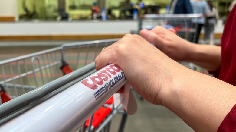 Hands pushing Costco cart