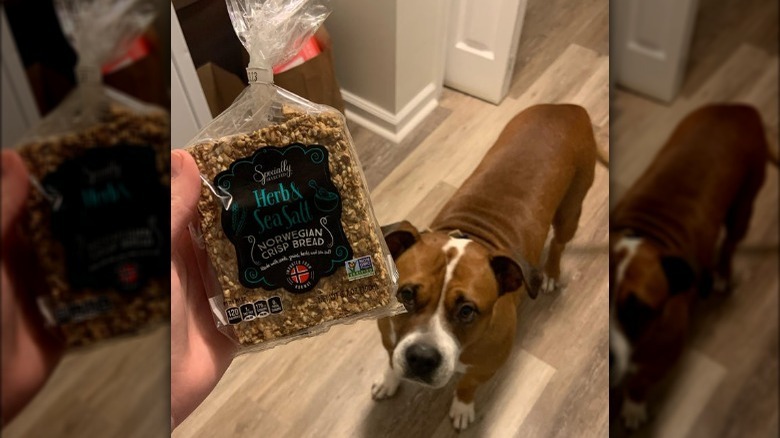 herbs & sea salt norwegian crisp bread with dog in background
