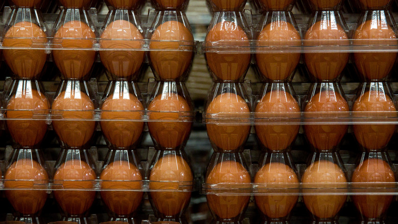 Kirkland eggs at Costco