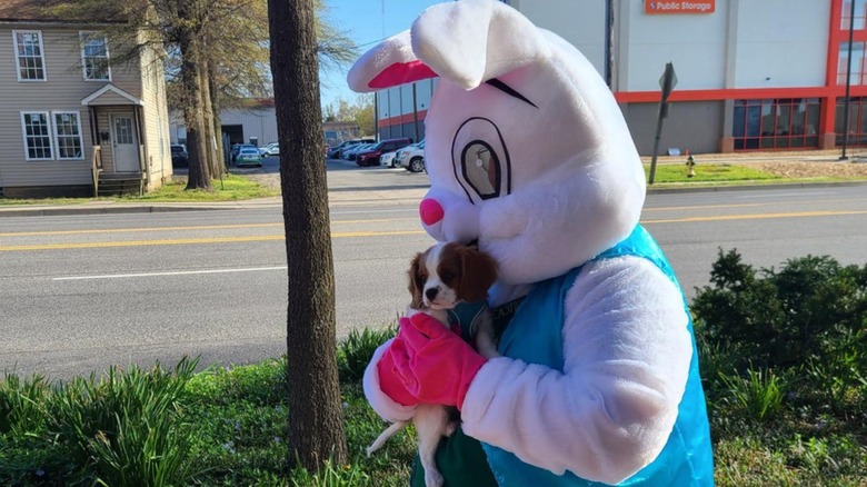 Easter bunny with puppy