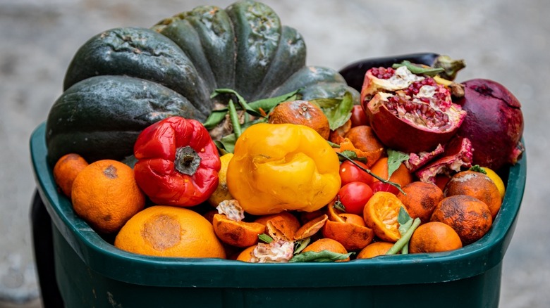 garbage can filled with rotting fruits and vegetables