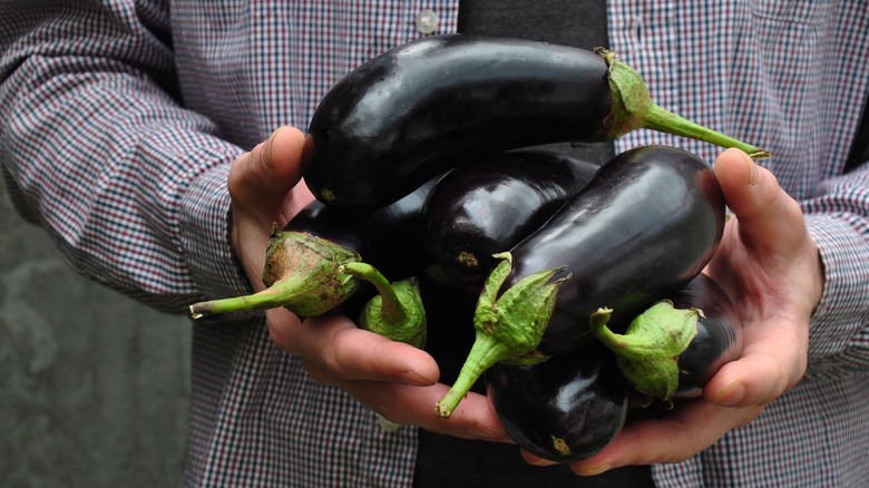 A man holding eggplants