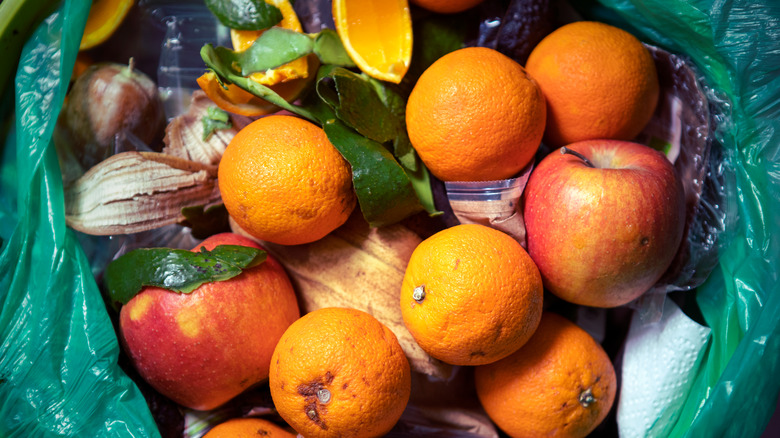 Fruit in garbage