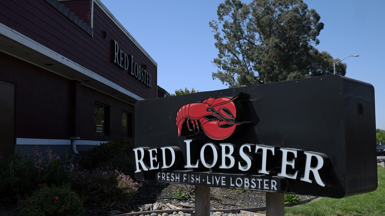 Signage is situated outside a Red Lobster.
