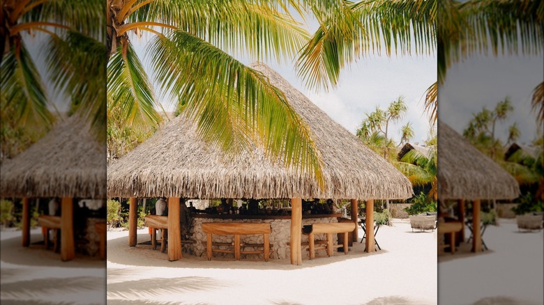 The exterior of Bob's Bar in Tetiaroa Atoll, French Polynesia during daytime