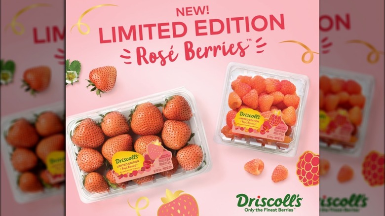 Driscoll's new berries in containers