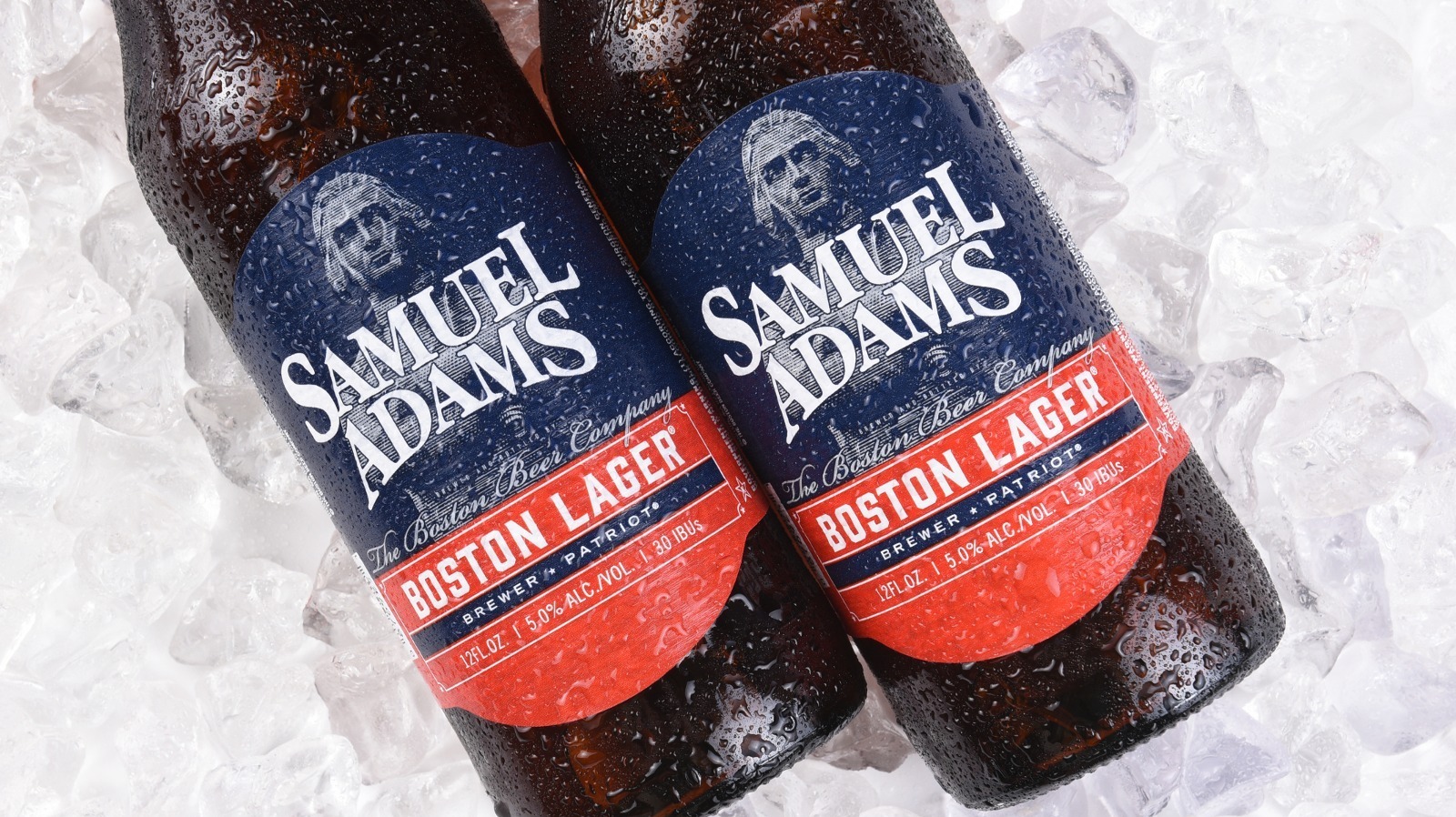 Sam Adams Rebate 2023