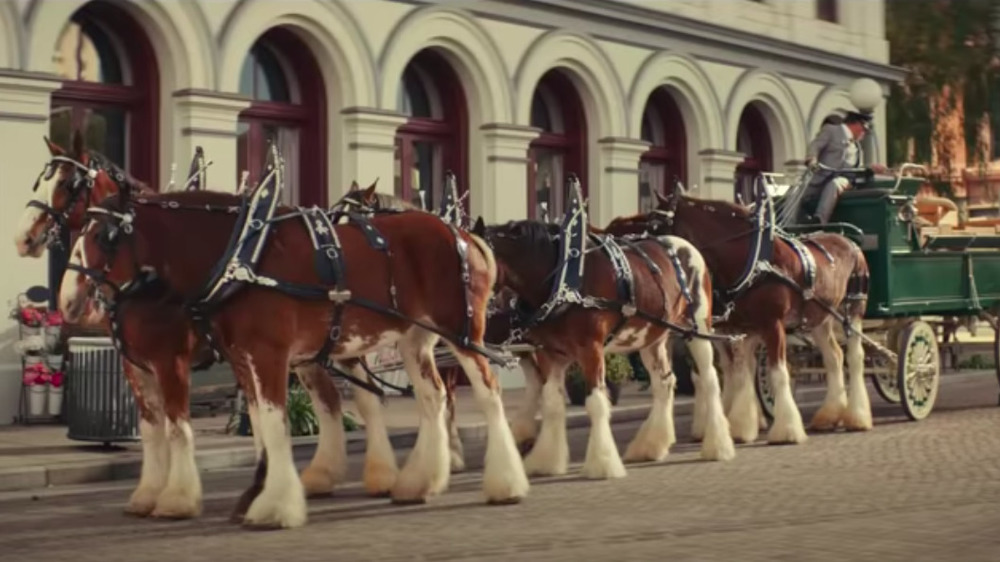Sam Adam's Super Bowl Ad Trolled Budweiser In A Hilarious Way