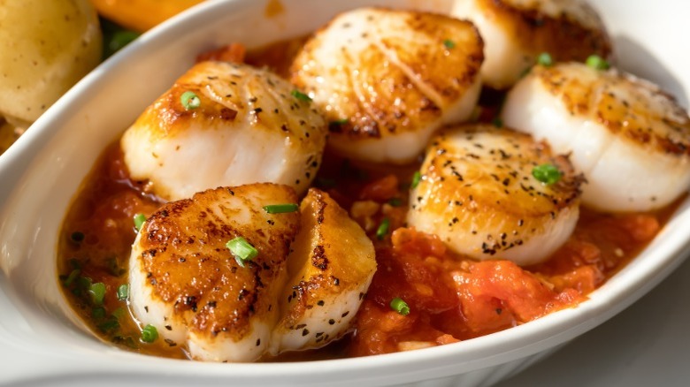Seared sea scallops in tomato sauce