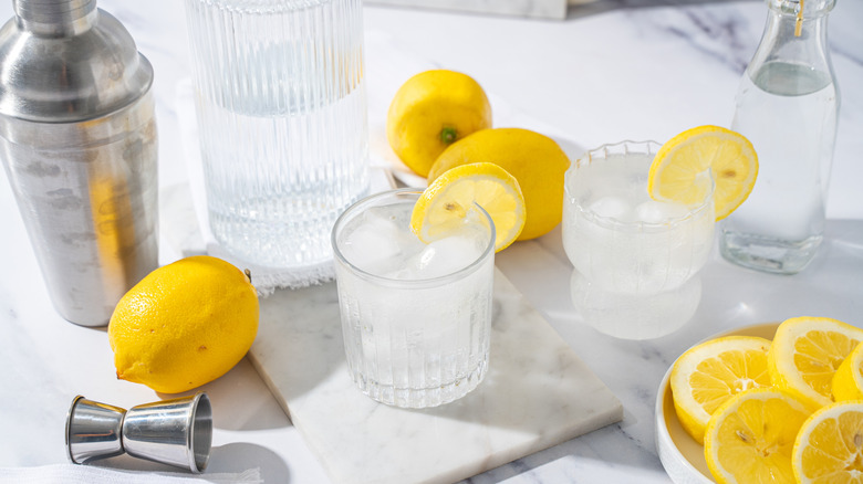 Classic Tom Collins cocktails with cocktail shaker and lemon slices in shot